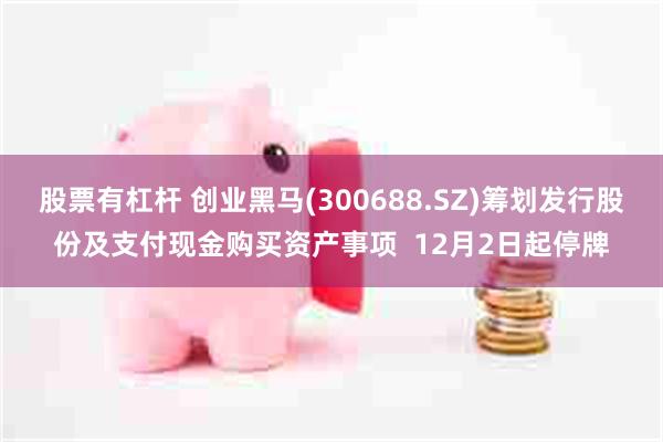 股票有杠杆 创业黑马(300688.SZ)筹划发行股份及支付现金购买资产事项  12月2日起停牌