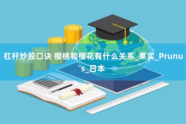 杠杆炒股口诀 樱桃和樱花有什么关系_果实_Prunus_日本