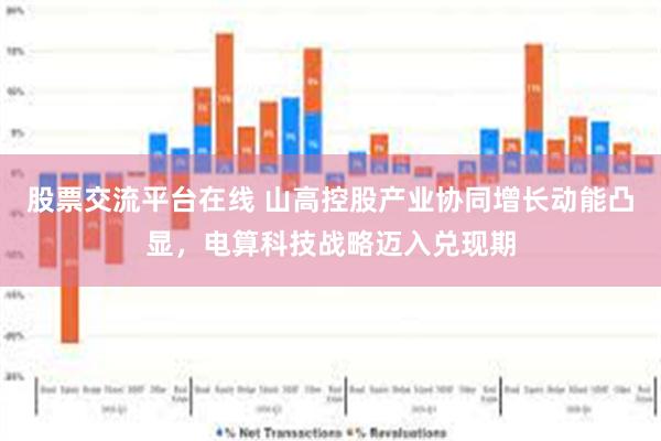 股票交流平台在线 山高控股产业协同增长动能凸显，电算科技战略迈入兑现期