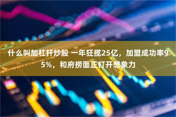 什么叫加杠杆炒股 一年狂揽25亿，加盟成功率95%，和府捞面正打开想象力